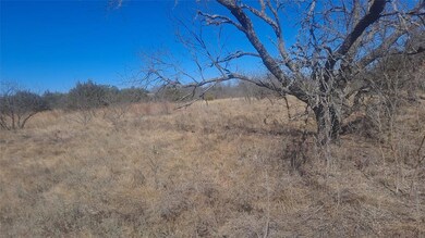 8 Grand View Dr, Brownwood, TX 76801 - photo 5