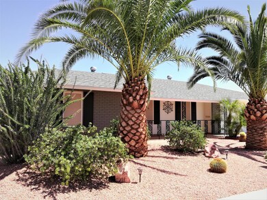Beautiful Palm Trees in Front!