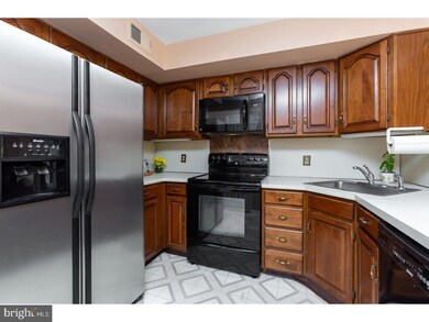 116 Dundee Mews, Media, PA 19063 - photo 3