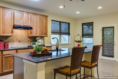 3822 Ox-Eye Daisy, San Antonio, TX 78261 - photo 2