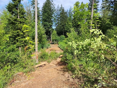 112 Tillicum Rd, Chehalis, WA 98532 - photo 4