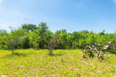 000 Ellis Rd, Beeville, TX 78102 - photo 6