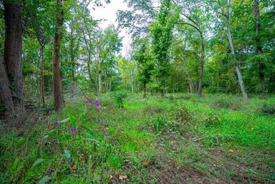 Cr 1250 N, Ellery, IL 62833 - photo 6