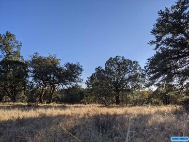 21 Vesuvius Way, Silver City, NM 88061 - photo 3