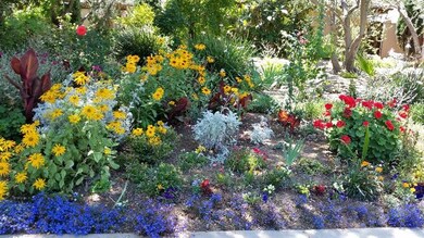 Blooming flowers in front yard during spring