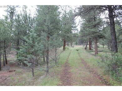 0 Pineview Ln, Canyon City, OR 97820 - photo 3