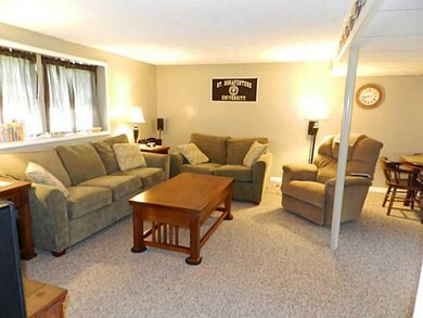 Family Room. Family room in lower level.