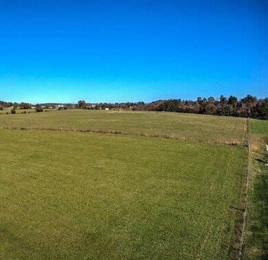 Lot 4