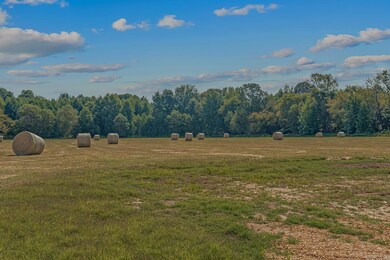 Tract 3 Greene 726 Rd, Paragould, AR 72450 - photo 7