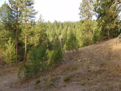 10 Rehn Loop unit 1, Cascade, ID 83611 - photo 4