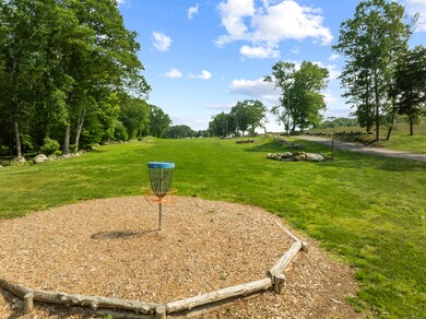 Disk Golf