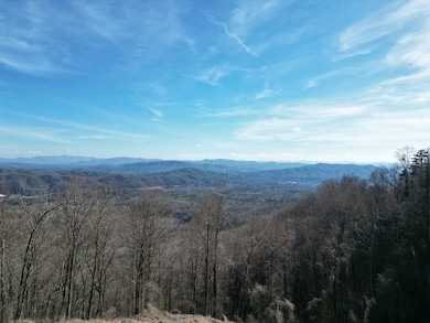 179.88 Ac Fain Peak, Murphy, NC 28906 - photo 6