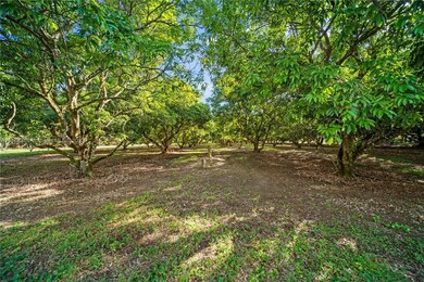 16900 SW 232nd St, Miami, FL 33170 - photo 7