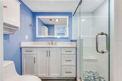 Owners Suite bath