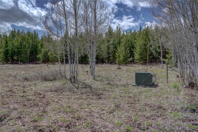 View of local wilderness with a forest view