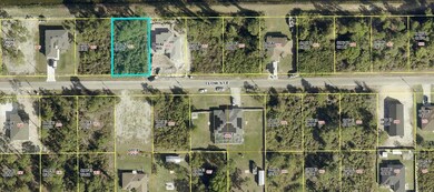 853 Clow St E, Lehigh Acres, FL 33974 - photo 3
