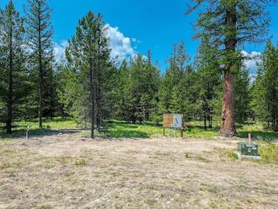 443 McGregor Meadows Rd W, Marion, MT 59925 - photo 6