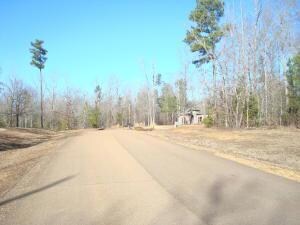 0 Lost Lake Hills Rd, Columbus, MS 39702 - photo 6