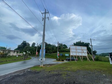 PR-417 Barrio Marias En Aguada, Aguada, PR 00602 - photo 5