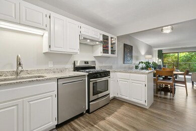 Kitchen with a surplus of counter space and cabinet storage. Ideal for kitchen necessities and storing items. Kitchen counters and appliances (2019).