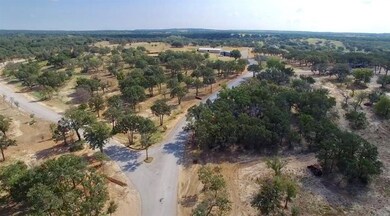 321 Arborview Dr, Weatherford, TX 76485 - photo 3