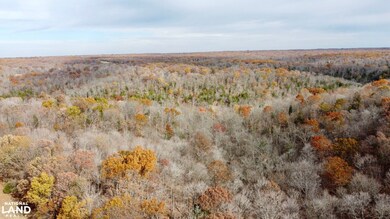 0000 Polston Ln, Hickory Grove Township, MO 63357 - photo 4