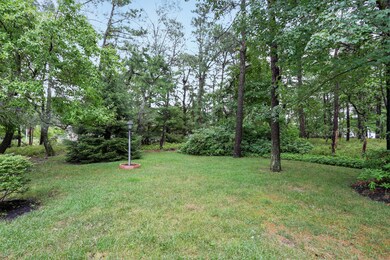 Park-like back yard
