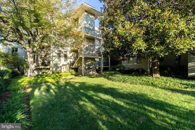 706 Prince St unit 12, Alexandria, VA 22314 - photo 5