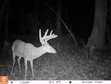 5302 Bend Rd, Vaughan, MS 39179 - photo 3