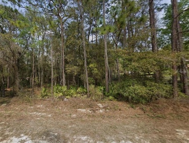 0 SW 45th Lane Rd unit MFRTB8450661, Ocala, FL 34481 - photo 2