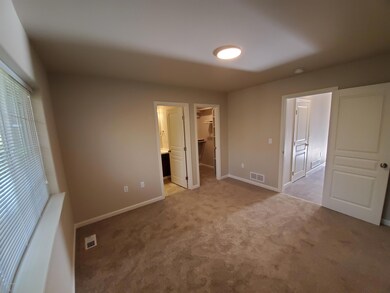 Downstairs Bedroom
