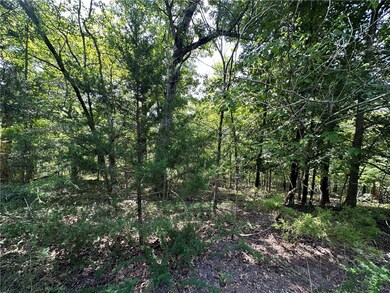 2 Twyford Ln, Bella Vista, AR 72714 - photo 3