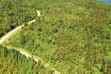 DJI_0391