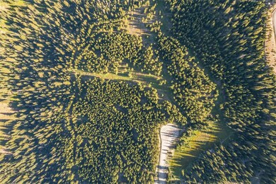 TBD Joy Rd, Big Sky, MT 59730 - photo 6