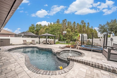 Incredible backyard!