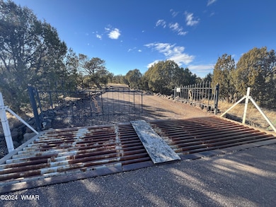 2036 Sitgreaves Ranch Rd, Show Low, AZ 85901 - photo 4