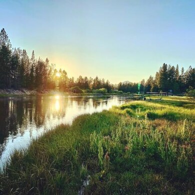 Wood Duck River Sun Shot