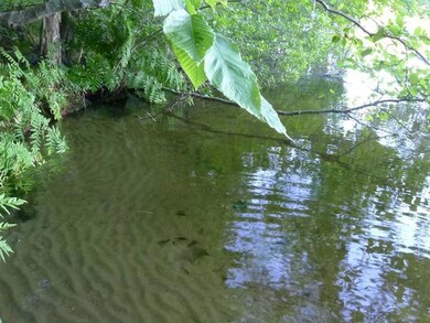 0 Wooster Farm Road and Route105, Camden, ME 04843 - photo 4