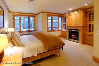 835 E Cooper Ave unit 4, Aspen, CO 81611 - photo 6