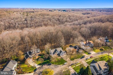 6636 Towering Oak Path, Columbia, MD 21044 - photo 3