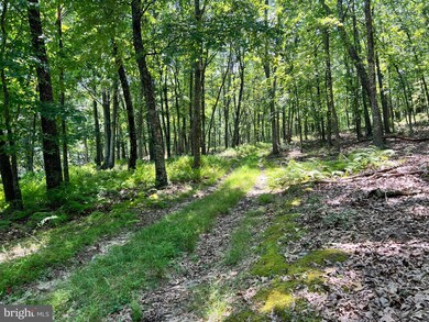 7751 Greenwalt Gap, Franklin, WV 26807 - photo 2