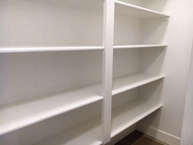Walk in Pantry
