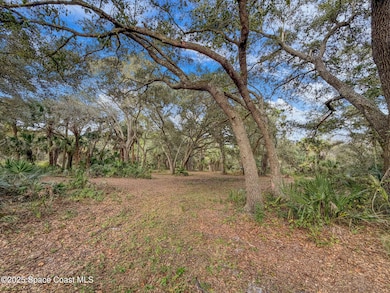 01 Bear Trail, West Canaveral Groves, FL 32926 - photo 2
