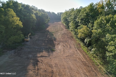 DJI_0233