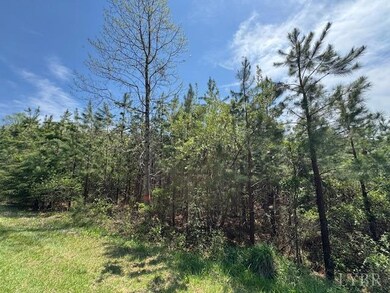 6 Spencer Rd, Concord, VA 24538 - photo 2