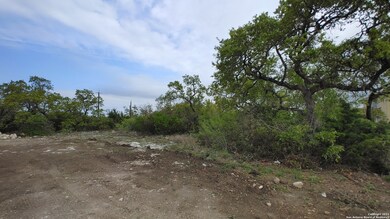 8811 Terra Mont Way, San Antonio, TX 78255 - photo 2