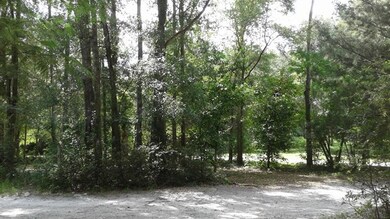 3708 Snipe Rd, Branford, FL 32008 - photo 5