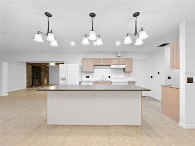 16206 Sea Pines Dr, Hudson, FL 34667 - photo 7