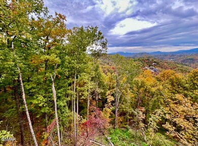 1817 Pinestand Ridge Way, Sevierville, TN 37862 - photo 3