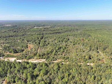 TBD Walther Rd unit TBD JACKPOT TRL, Milton, FL 32570 - photo 4